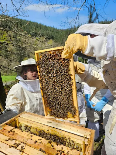 Istrupiza Baserria Erlezaintza